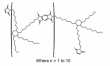 BMI-3000 Gel Bismaleimide (Imide Extended)