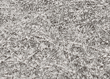 LINQCELL TFP250 | 250um Titanium Fiber Paper