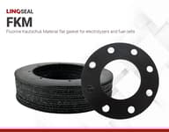 LINQSEAL FKM