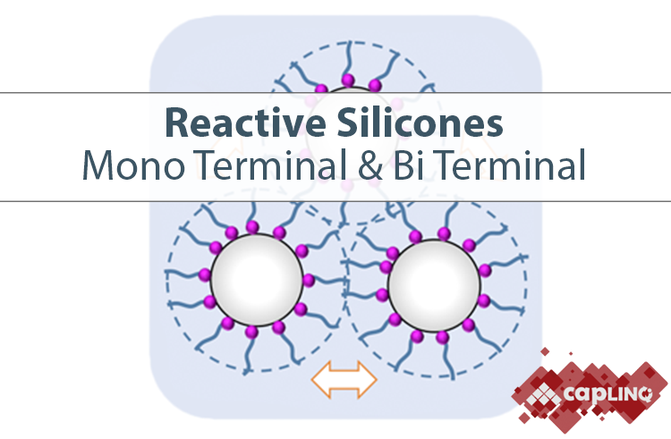 Reactive Silicones