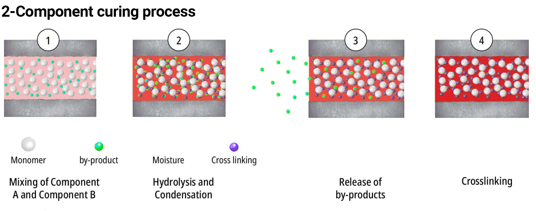 2-component curing process