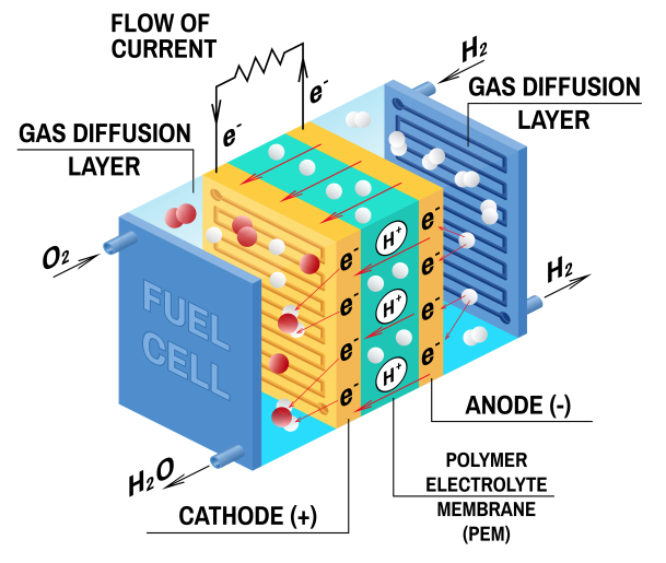 How Hydrogen Fuel Cells Work