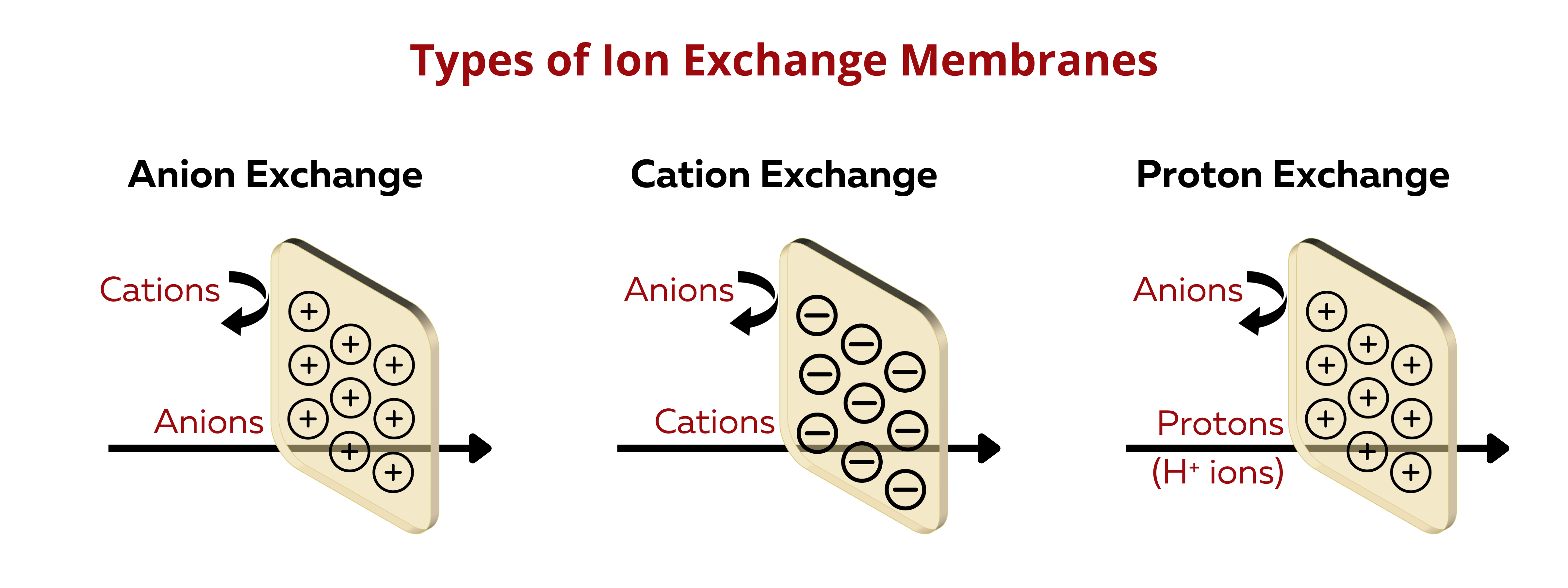 Types of Ion Exchange Membranes according to Ion-Exchange Functionality