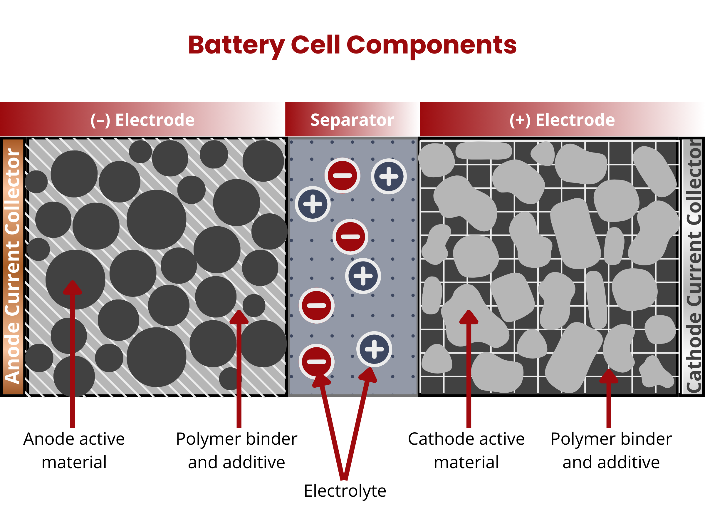 Cell components