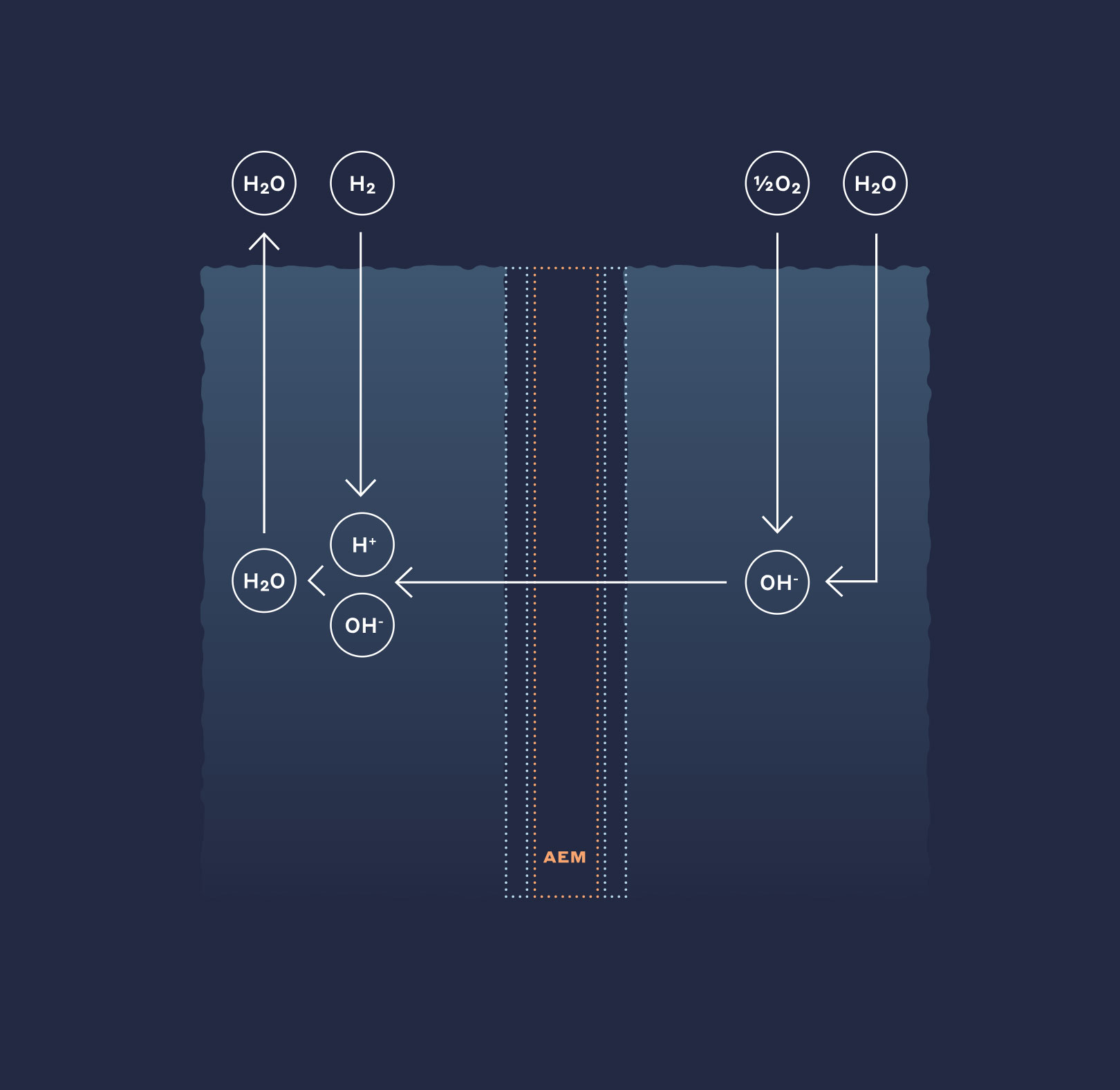 hydrogen fuel cells